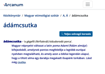 Deepening Understanding: Provides historical context and origins, enhancing comprehension of words and their meanings. ⭑ Vocabulary Expansion: Reveals connections between words, aiding in the recognition of patterns and roots. ⭑ Memory Aid: Associating words with their histories makes them more memorable and easier to recall.