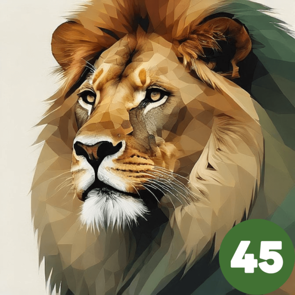 INDIVIDUAL - SIMBA - 45 m.