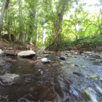 Let’s Talk in Nature – in Hungarian!